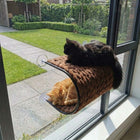 Fensterbett für Katzen – Riley, Braun – Bild 2
