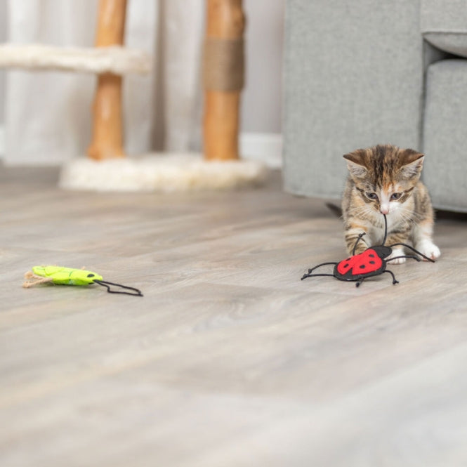 Katzenminze Spielzeug – Insekten aus Filz mit Catnip – Bild 6