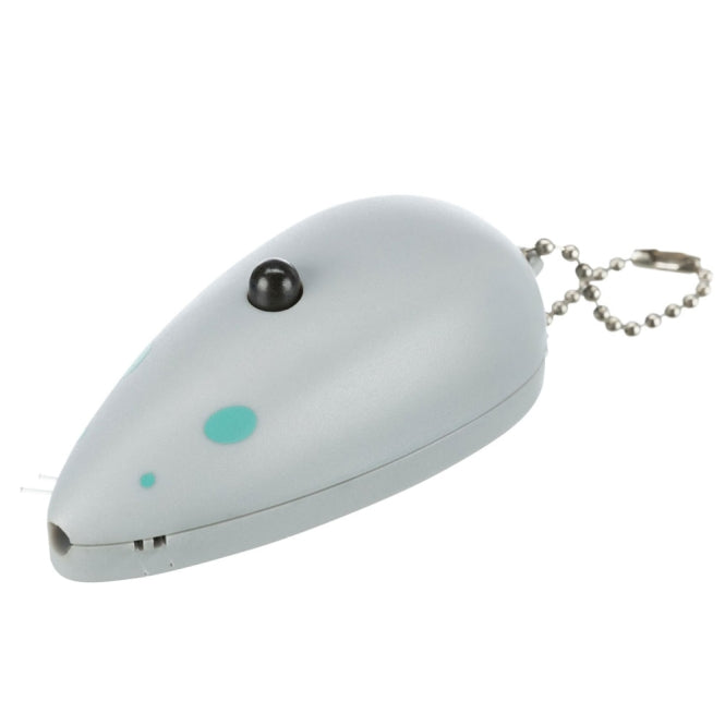 Laserpointer für Katzen – Catch the Light