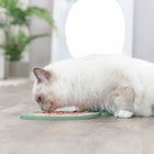 LicknSnack – Matte Fisch für Katzen – Bild 4