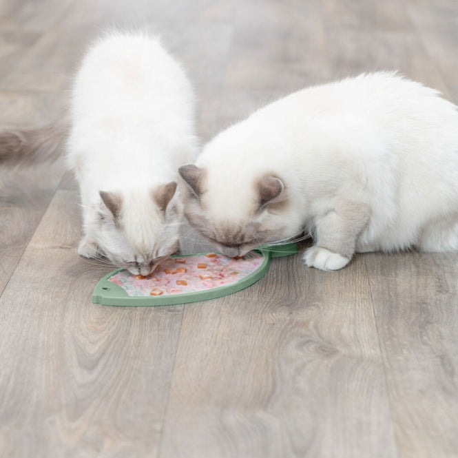 LicknSnack – Matte Fisch für Katzen – Bild 5