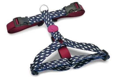 Morso dog harness h-harness recycled power flow black-0