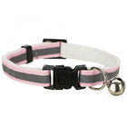 Kätzchenhalsband für Katzen – Junior reflektierend – Bild 5