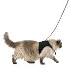 Softgeschirr für Katzen – mit Leine XL, schwarz – Bild 2