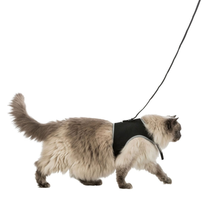 Softgeschirr für Katzen – mit Leine XL, schwarz – Bild 2