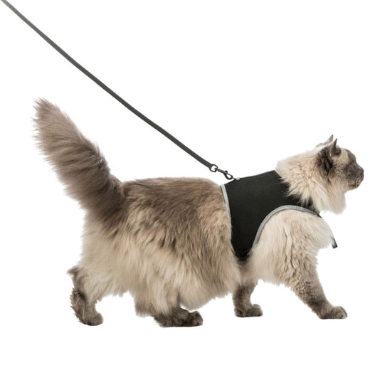 Softgeschirr für Katzen – mit Leine XL, schwarz