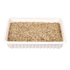 Ergänzungsfutter für Katzen – Katzengras-Schale, ca. 100 g – Bild 2