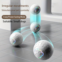 Interactive Dog Toy Ball - Grey Striped