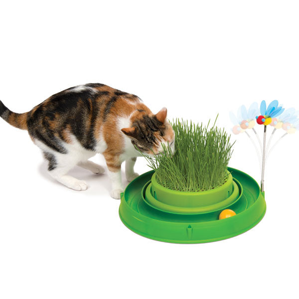 Ergänzungsfutter für Katzen – Play-n-Scratch mit Grasgarten, Grün