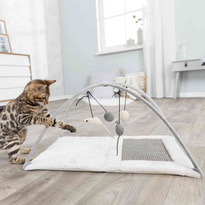 Kratzmatte für Katzen – Junior mit Spielzeugen – Bild 4