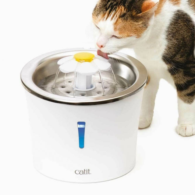 Blumentrinkbrunnen für Katzen – Catit mit Edelstahleinsatz