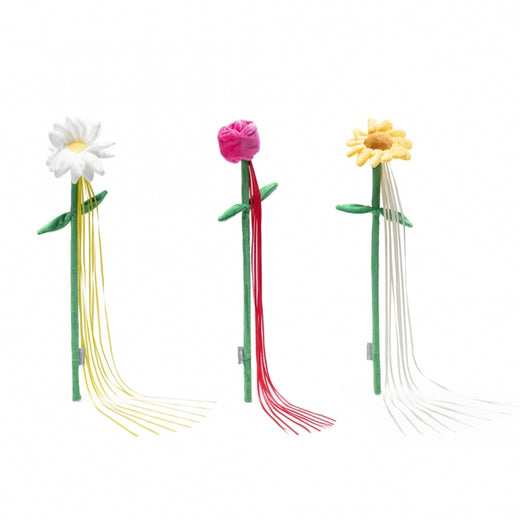 Katzenangel – Frühlingsblumen