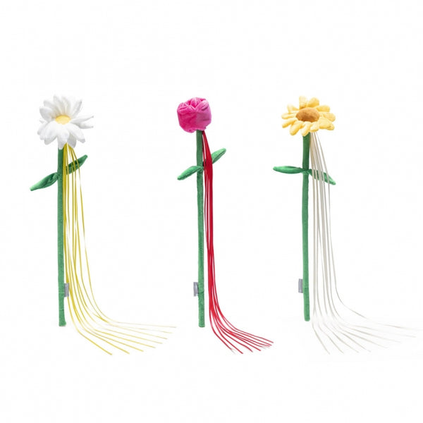 Katzenangel – Frühlingsblumen