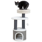 Kratzbaum für Katzen – Marco – Bild 2