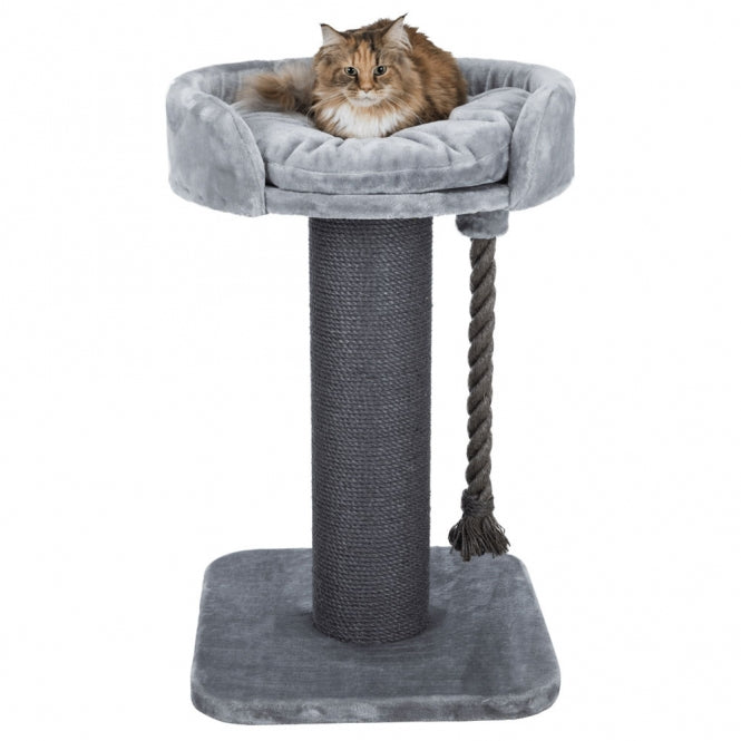 Kratzbaum für Katzen – XXL Klara – Bild 6