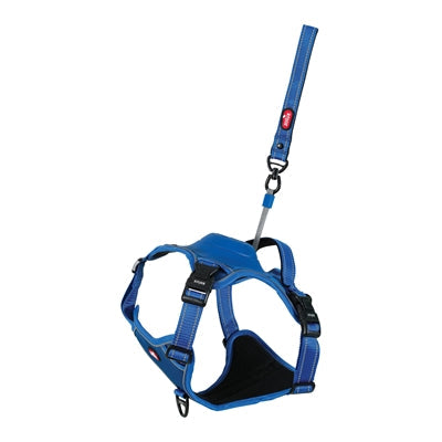 Zolux easyride dog harness blue-0