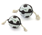 Hundeball – ACTION Fußball