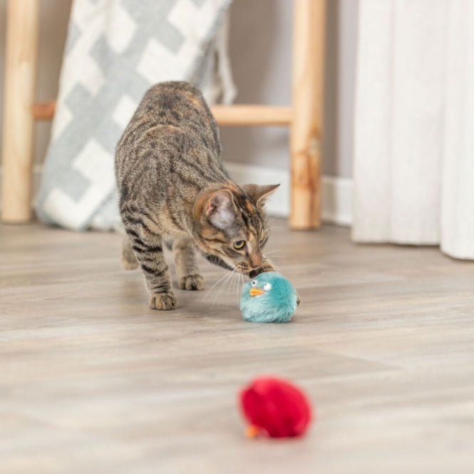 Rasselball für Katzen – Küken – Bild 6