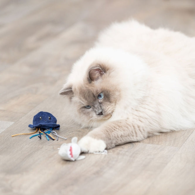 Katzenminze Spielzeug – Meerestiere – Bild 4