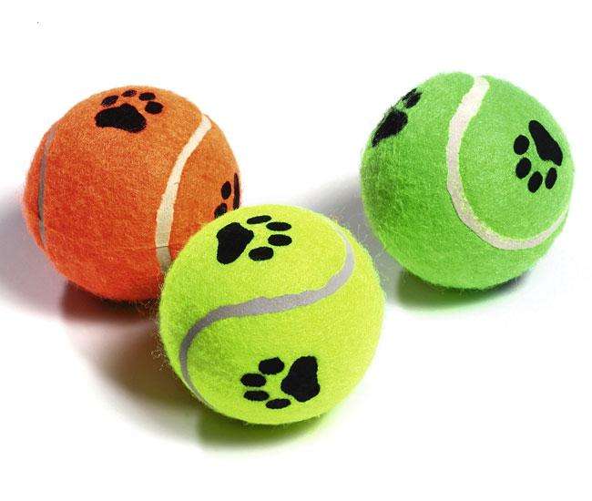 Tennisbälle für Hunde – mit Squeeker, 3er