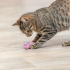Katzenminze Spielzeug – Seepferdchen – Bild 6
