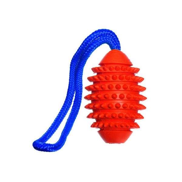 Football für Hunde – BOOMER AQUA