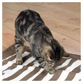 Pföteldecke für Katzen Cat Activity 70 x 50 cm | Trixie