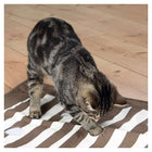 Pföteldecke für Katzen – Cat Activity 70 x 50 cm