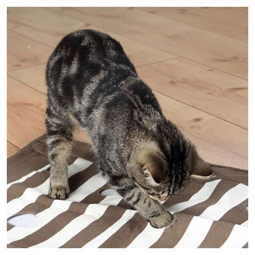 Pföteldecke für Katzen – Cat Activity 70 x 50 cm