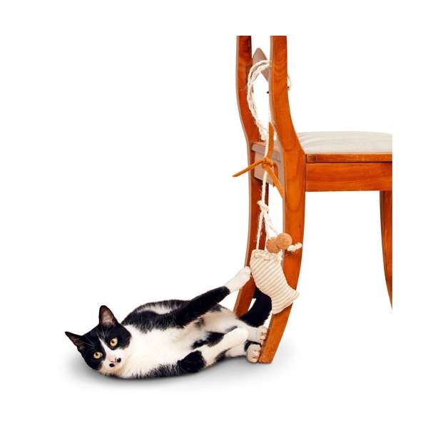 Katzenangel – Sisal Fleety Fisch, 64 cm – Bild 2