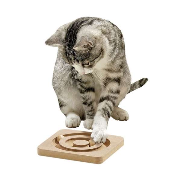 Intelligenzspielzeug für Katzen – Kitty Brain Train Roundabout