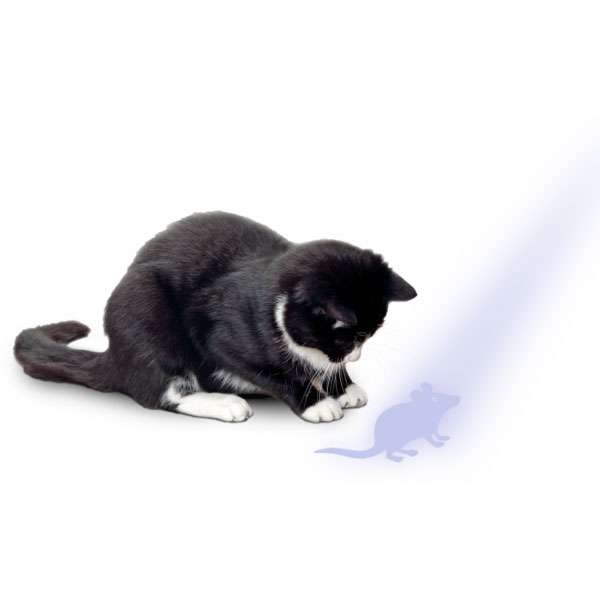 Beschäftigungsspielzeug für Katzen – Flamingo LED Pointer – Bild 2