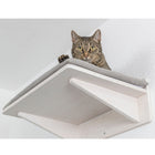 Kletterwand für Katzen – Liegeplatte zur Wandmontage – Bild 6