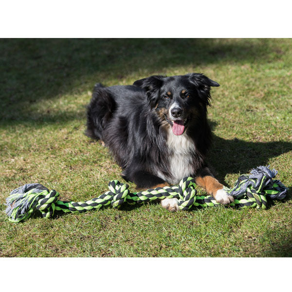 XXL-Kauseil für Hunde –  – Bild 8