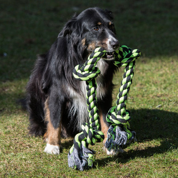 XXL-Kauseil für Hunde –  – Bild 7