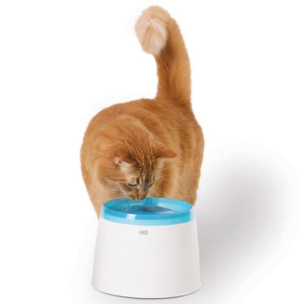 Trinkbrunnen für Hunde – Fresh+Clear 2L, Blau