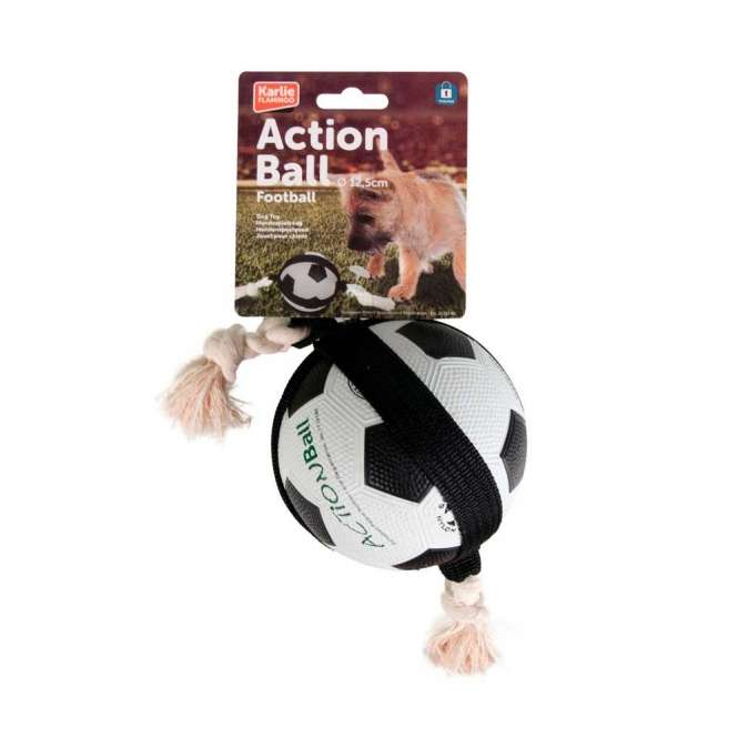 Hundeball – ACTION Fußball – Bild 3