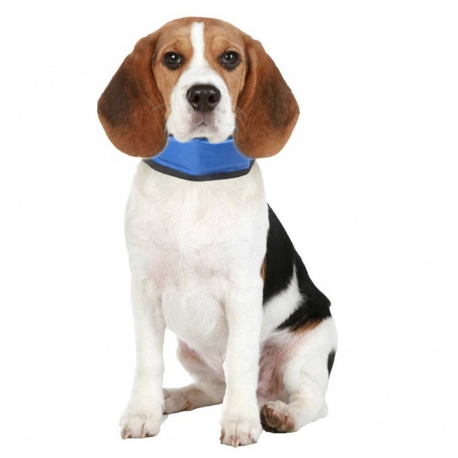 Hundeleine – Flamingo Kühlbandana Fresk, S (15, 25 cm)