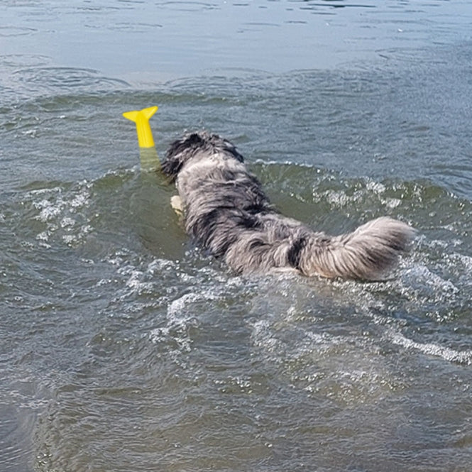 Wasserspielzeug für Hunde – TPR Boje Flossy – Bild 2