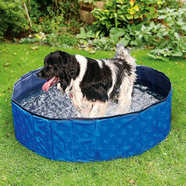 Hundepool – Flamingo DOGGY POOL Swimmingpool für Hunde – Bild 5