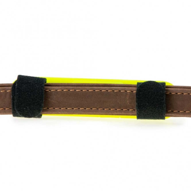 Hundeleine – Visio Light USB Universalband, Orange – Bild 3