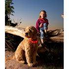 Leuchthalsband für Hunde – Visio Light LED-Leuchtschlauch mit USB – Bild 16