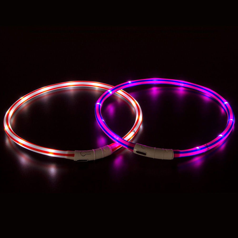 Leuchthalsband für Hunde Visio Light LED-Leuchtschlauch mit USB – Karlie