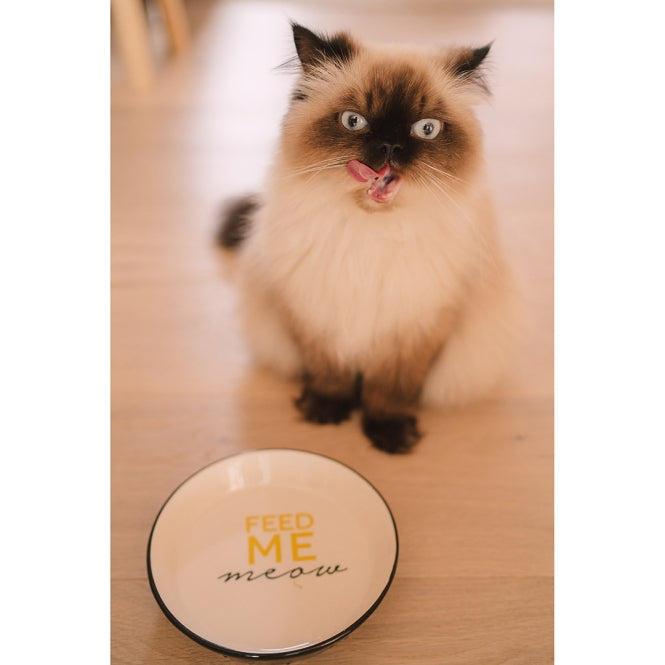 Katzennapf – Stone Feed Me Meow – Bild 2