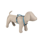 Hundegeschirr – EXPLOR North – Bild 10