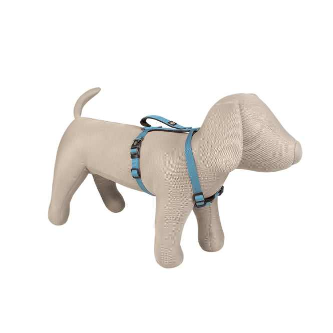 Hundegeschirr – EXPLOR North – Bild 10