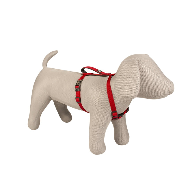 Hundegeschirr – EXPLOR North – Bild 6