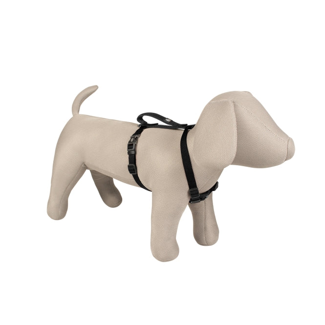 Hundegeschirr – EXPLOR North – Bild 8