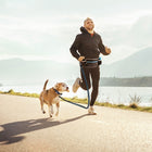 Bauchgurt für Hunde – mit Leine – Bild 3