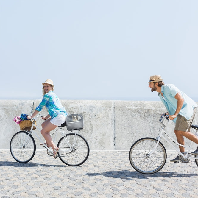 Fahrradtasche für Hunde – für Gepäckträger – Bild 5